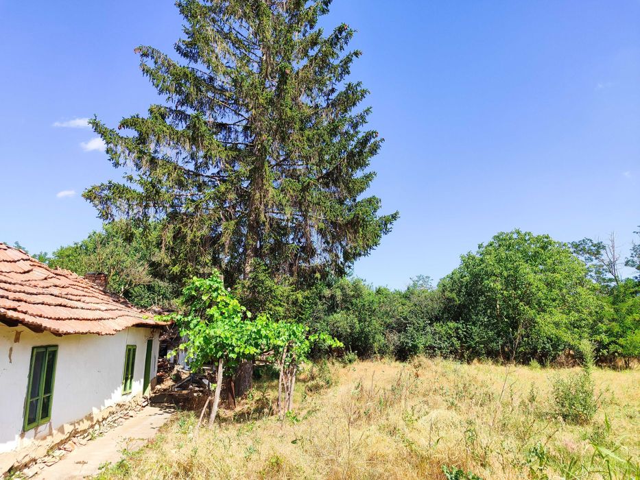 Продава се Къща в с. Къпиново, Област Добрич - 80 кв.м за 49 €/кв.м - Снимка #6