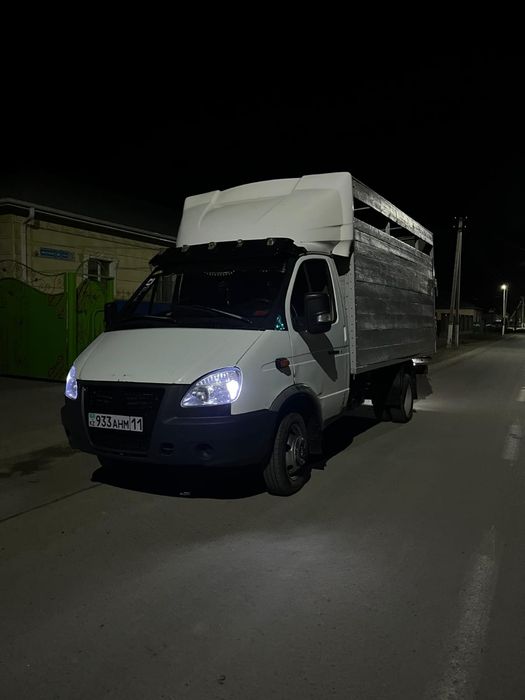 Газель кала іші сырты