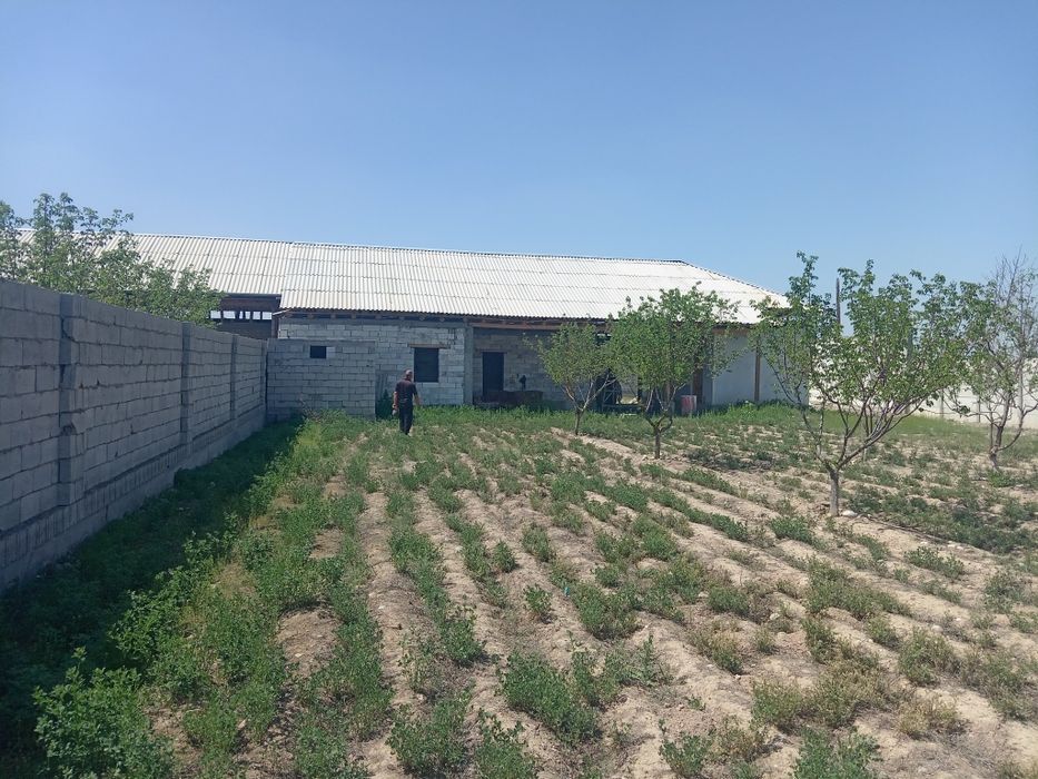 Ховли уй сотилади срочна