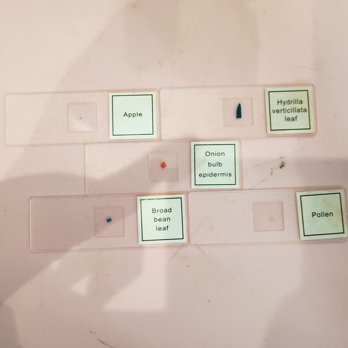 микроскоп 300Х 600Х 1200Х