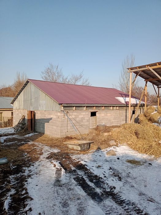 Частный дом ферма