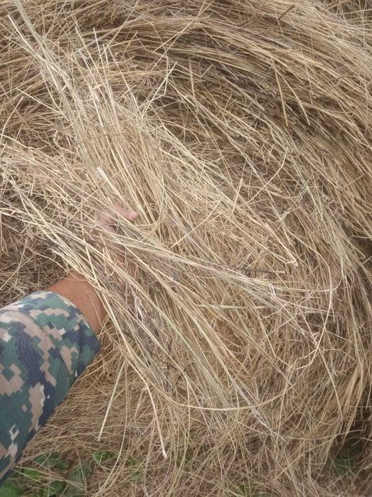 Сено 5000 тенге самовывоз.