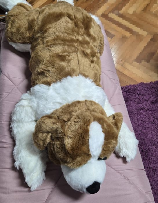 Ново голямо куче Самбернар