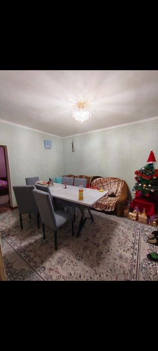 Частный дом с магазином
