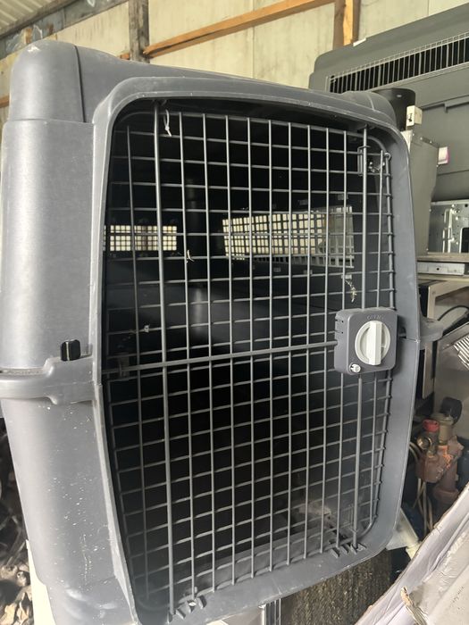 Cusca pt animale de companie