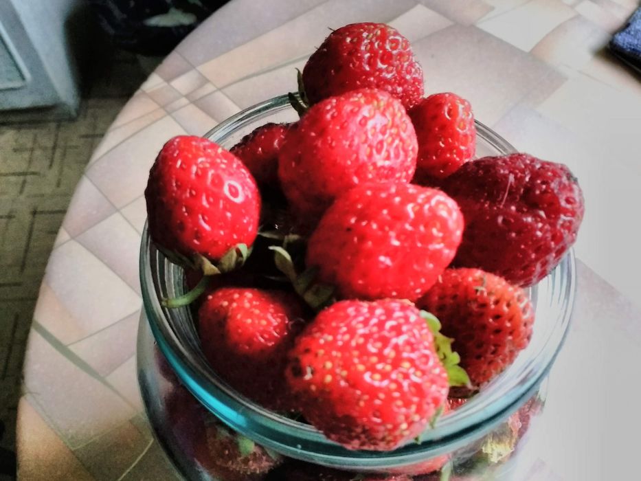 Клубника многоразовая