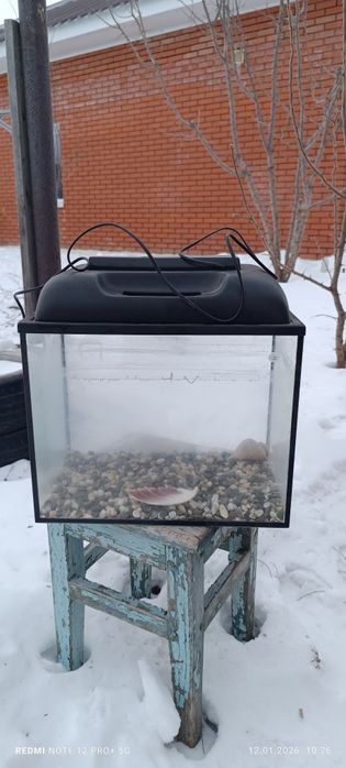 Продам аквариум. Б/ у торг