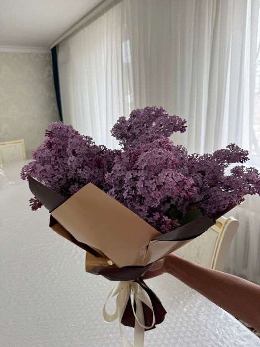 сирень сирень цветы цветы