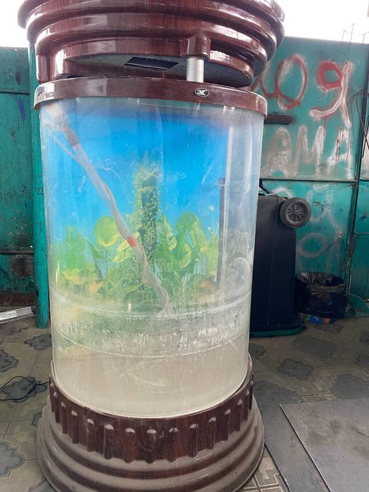 Продам аквариум большой