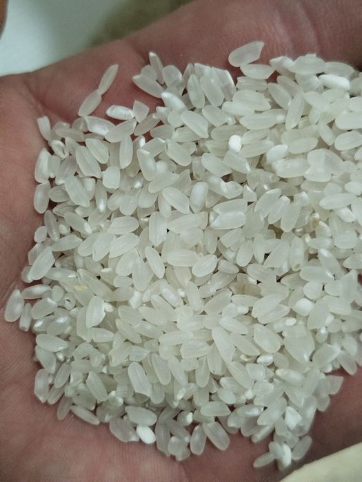 Күріш,Рис Лидер!