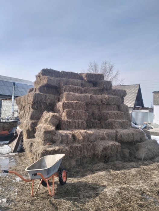 Сено тюковое продам
