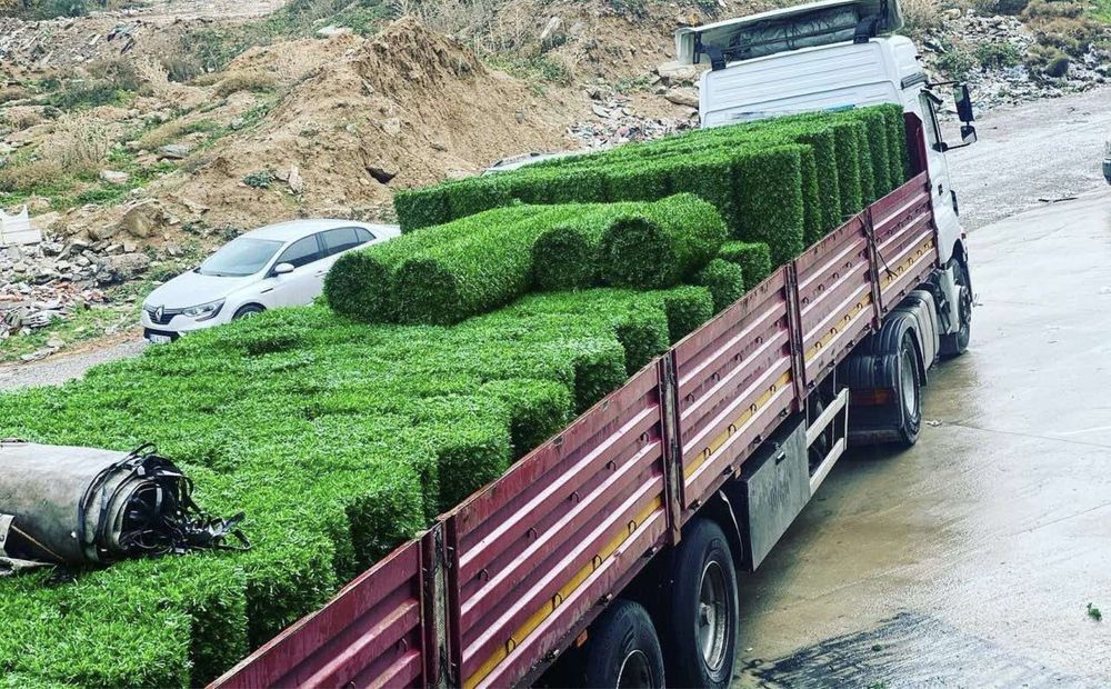 Тревна мрежа Жив Плет | Ролка 10 метра | Различни височини