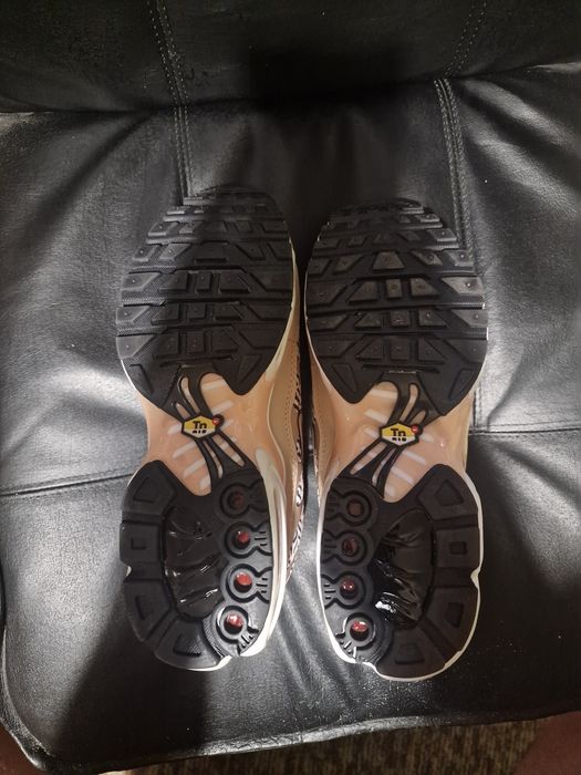 Nike Air Max Plus United In Victory Shoes FB2557-200