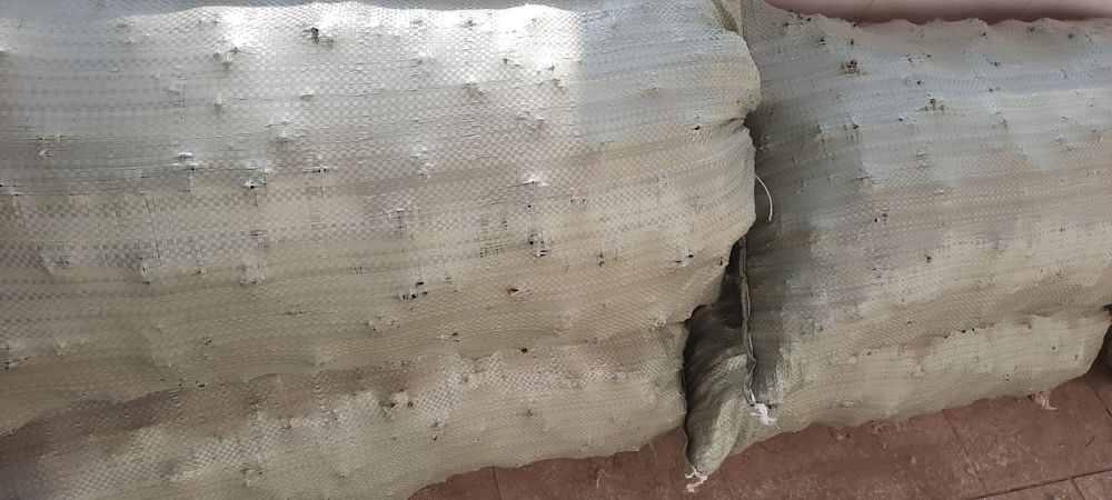 Сухие сосновые шишки