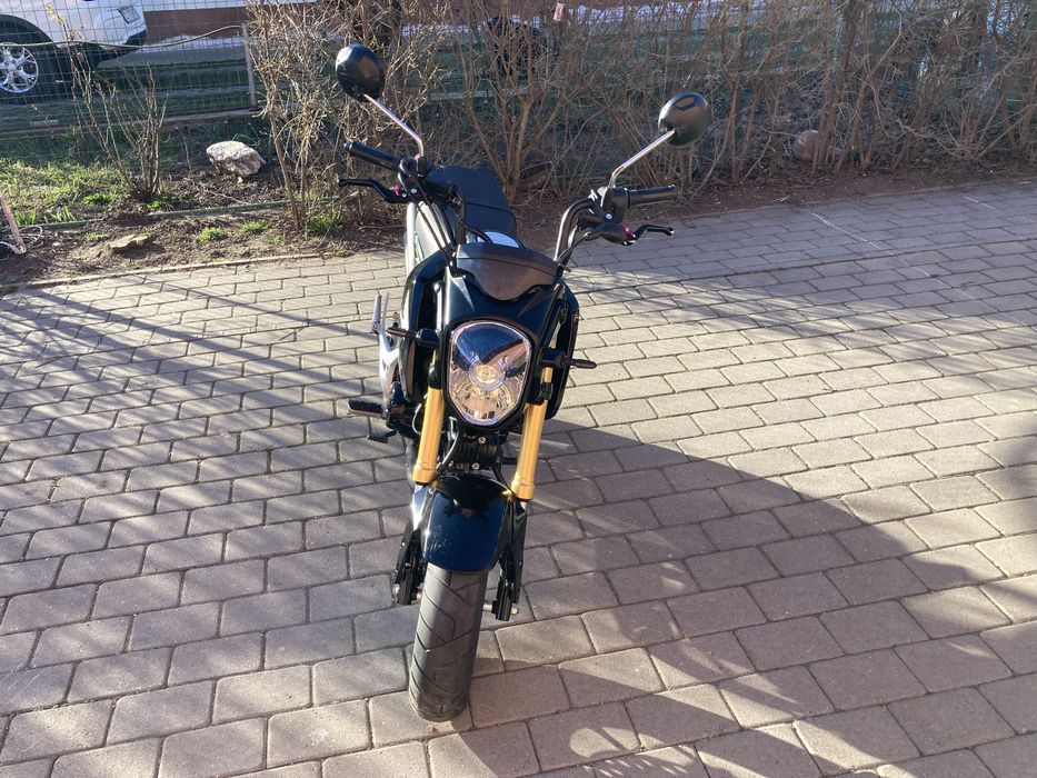 Honda msx 125 grom