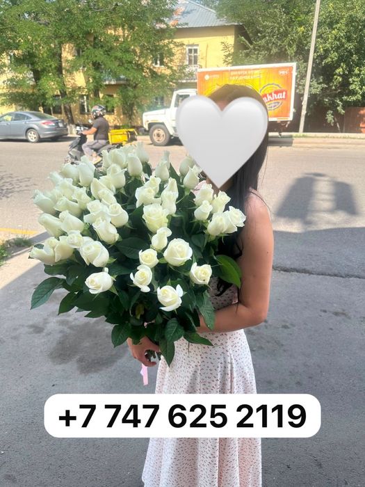 продам  цветы б/у