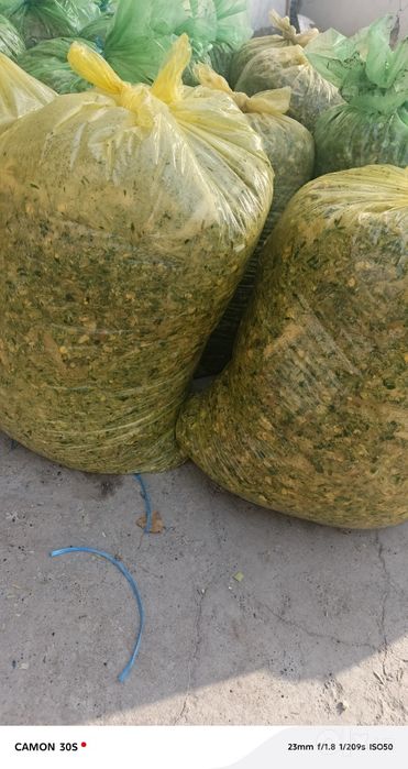 Qoplangan Silos doni zor