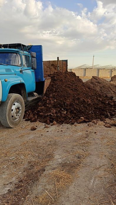 Пори гунг нури куй мол