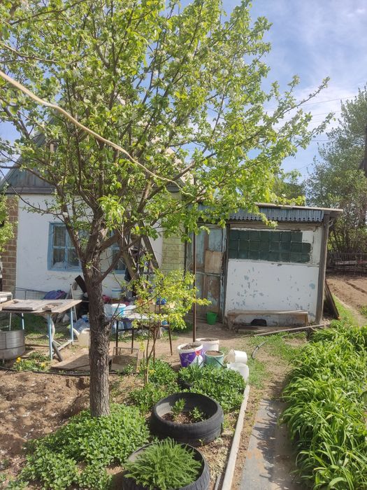 Продам дачу ПК Здравница