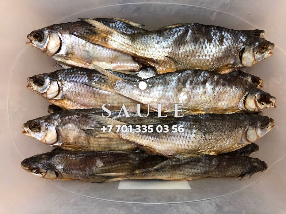Свежая вяленая вобла