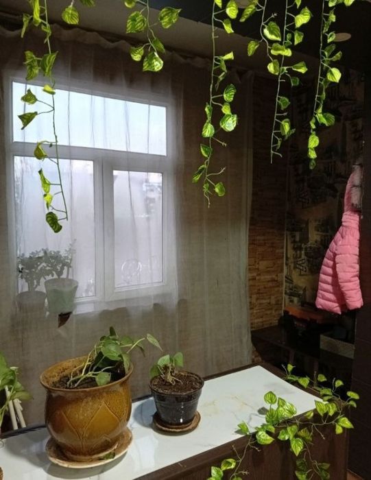 Аренда 1 комнатная квартира Сергели 2.