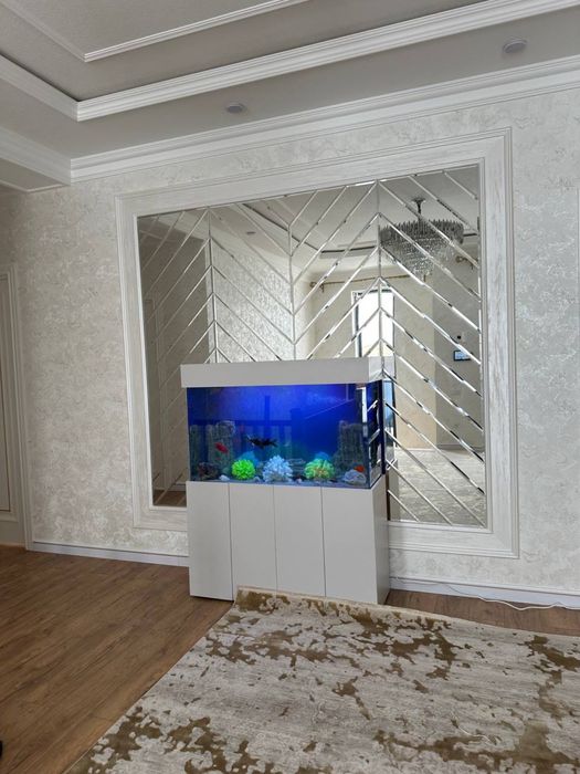 Магазин аквариумистики Aquamir.uz