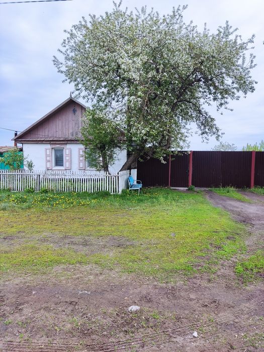 Продам дом в Нечаевке
