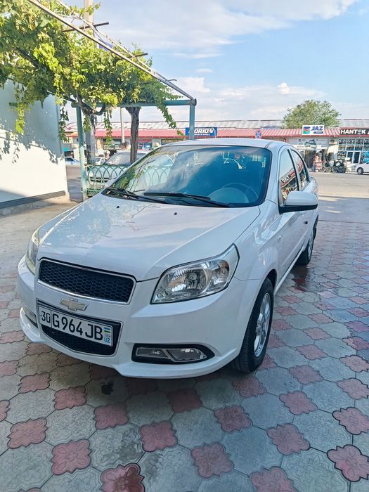 Neksiya3 2 pazitsiya 2019