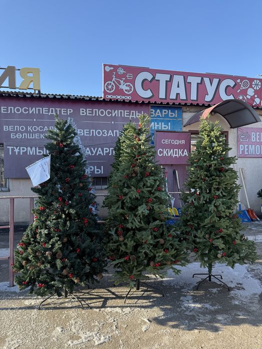 Продам елки, Костанай