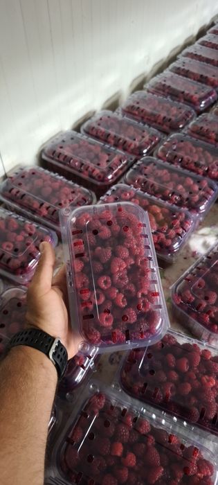 Zmeură proaspătă