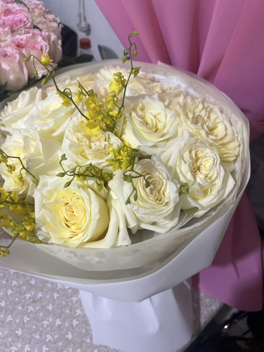 Свежый цветы  роза