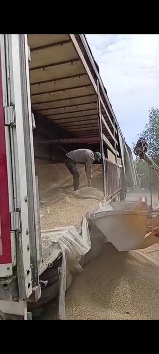 Продам оптом корм