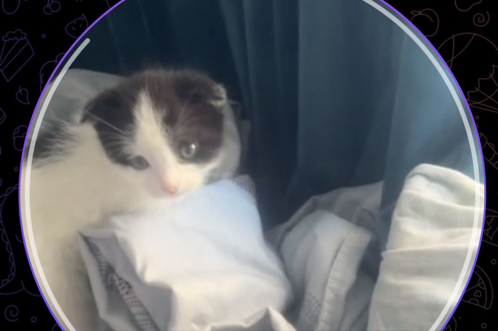 1 месяц, смешанный