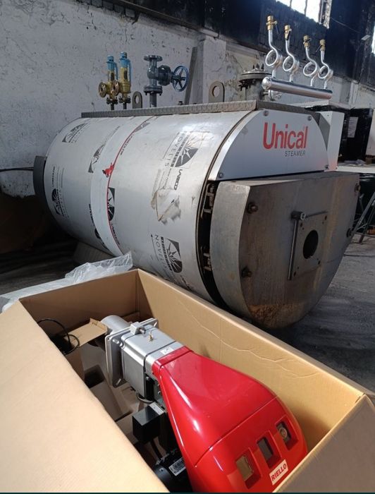 Паровые котлы Viessmann,Loos