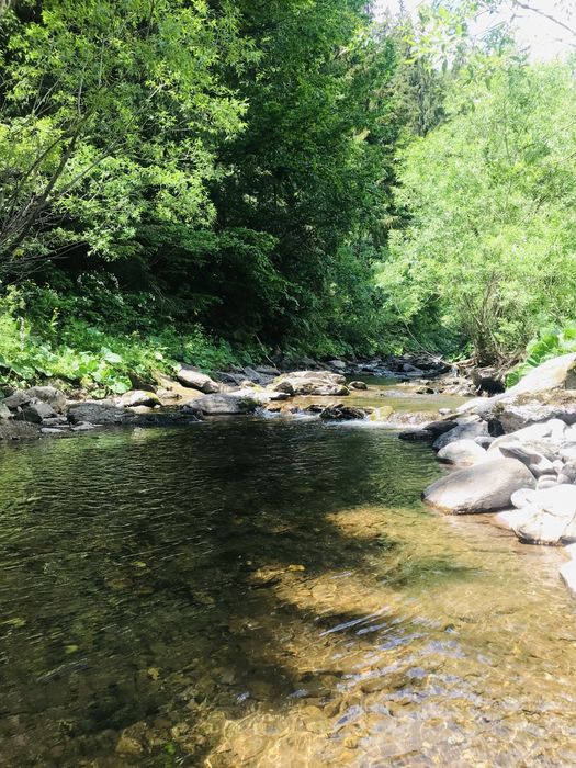 Cabana Hillside Arieșeni cu ciubăr