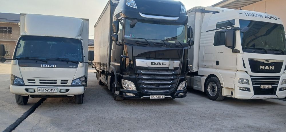 Грузоперевозка 24 / 7