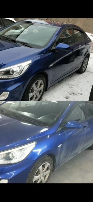 Костоправ моляр, ПДР