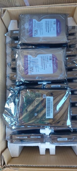 Жёсткий диск 1TB WD