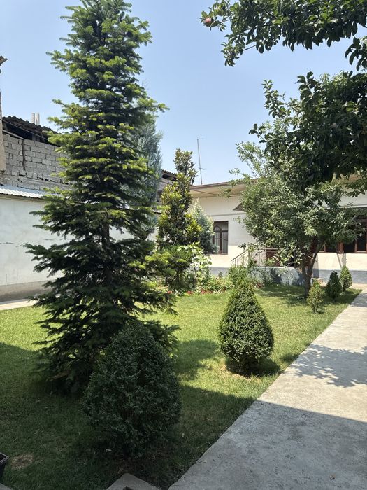 Qulay joylashuvda yer uchastkasi