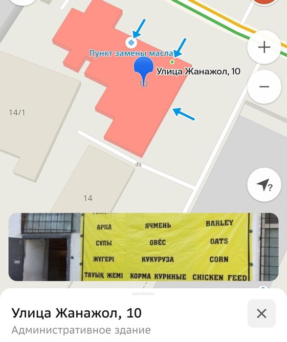 Овёс  30кг чистый