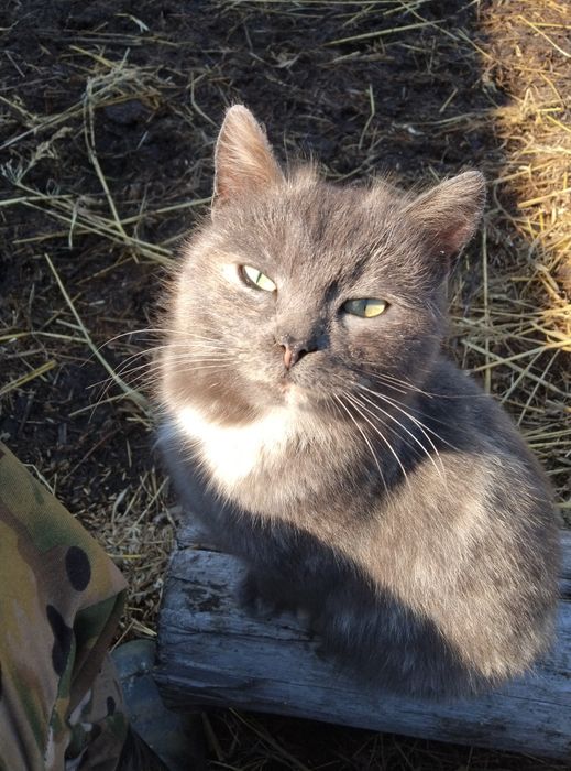 Продам земельный участок