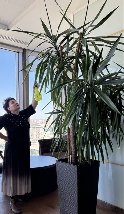 Опытный флорист по уходу за комнатными  цветами