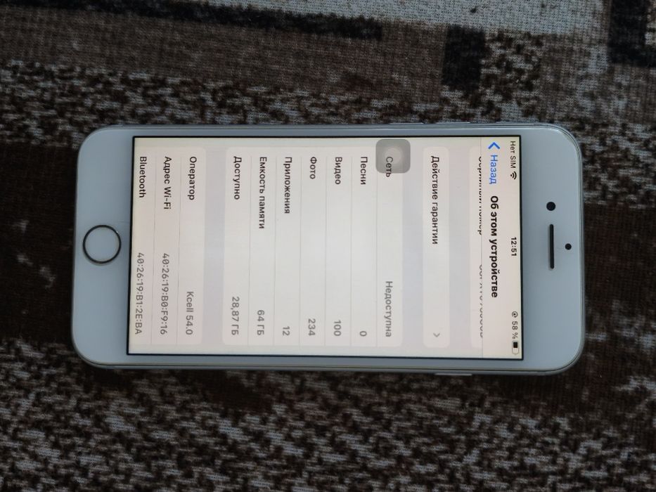 iPhone 8 64/100%