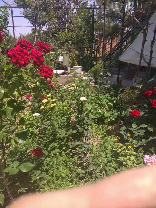 Продается земельный участок с жилым домом