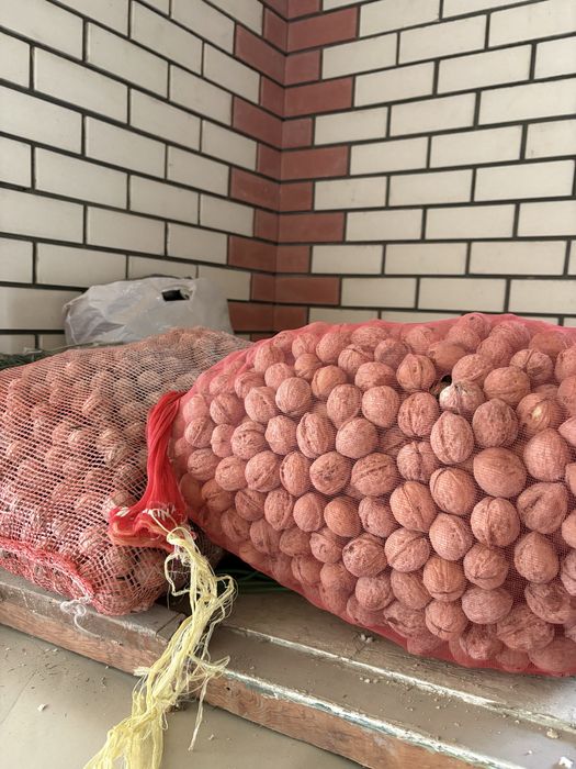 Продам Гредские Орехи