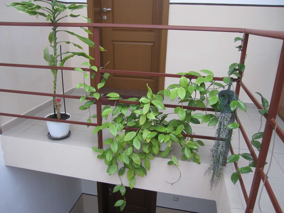 Canon Digital IXUS 110 IS 12,1МРх