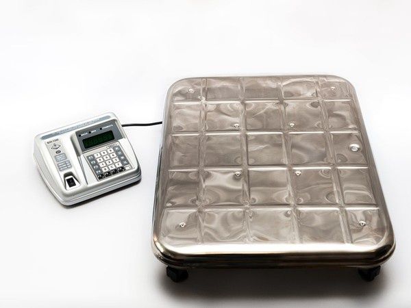 Весы Веса Таразы Продажа Гарантия Поверка Сертификат