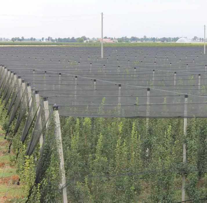 ANTIGRINDINA 4x50m= 440lei; 4x100m=825; OchiuriInnodate+MargineDublata