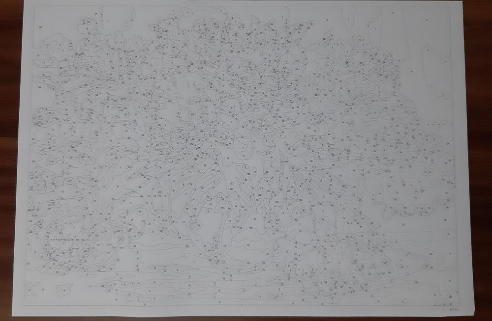 Pictură pe numere 40x50 cm
