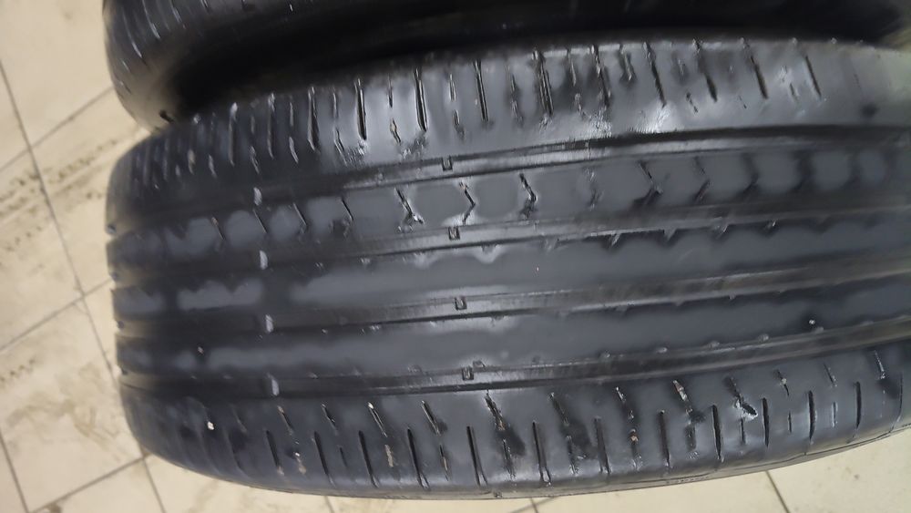 Шины континента ль лето